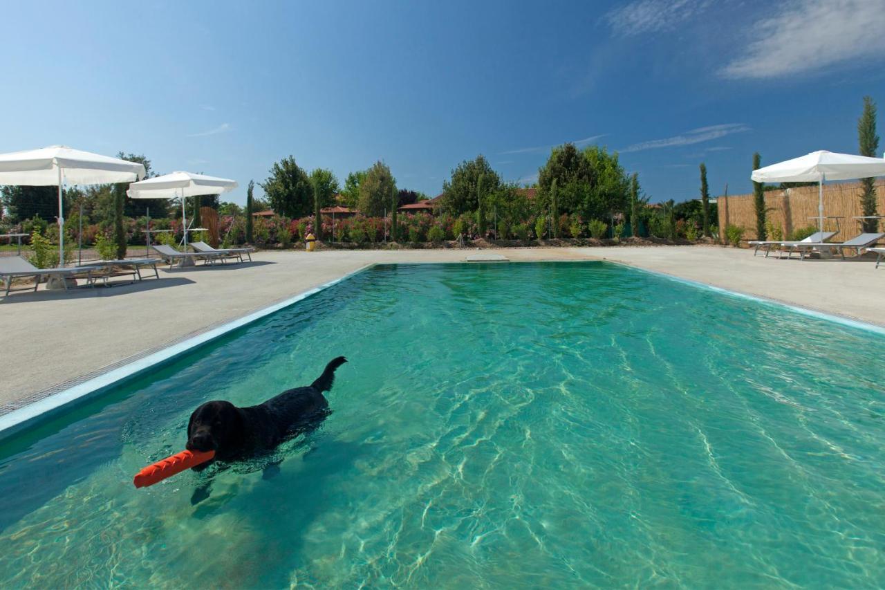 Aparthotel Fattoria Maremmana Marina di Grosseto Esterno foto