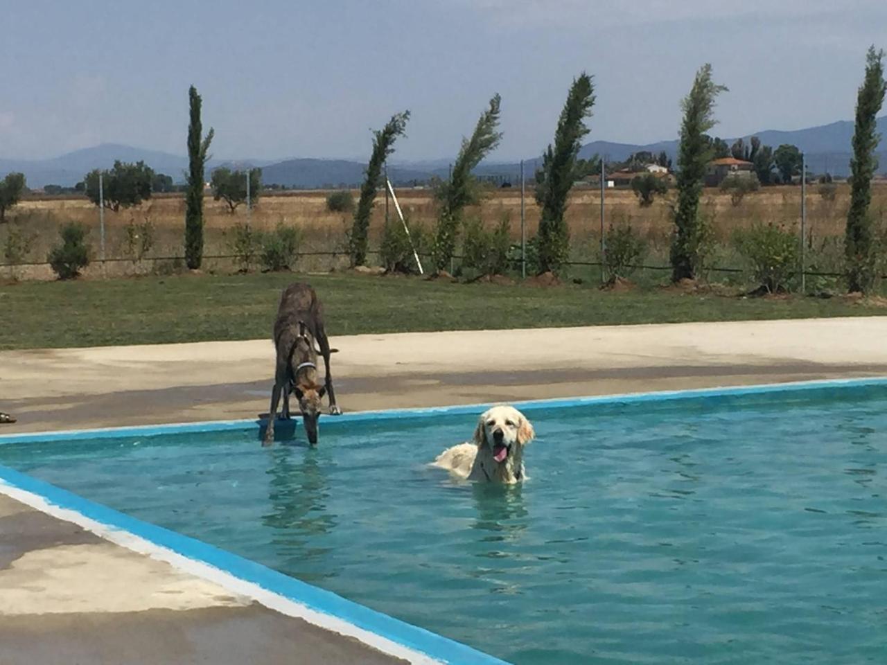 Aparthotel Fattoria Maremmana Marina di Grosseto Esterno foto